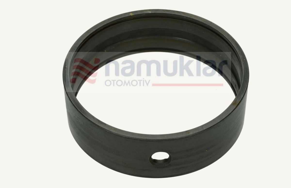 ÖN DİNGİL BURCU 123475 1