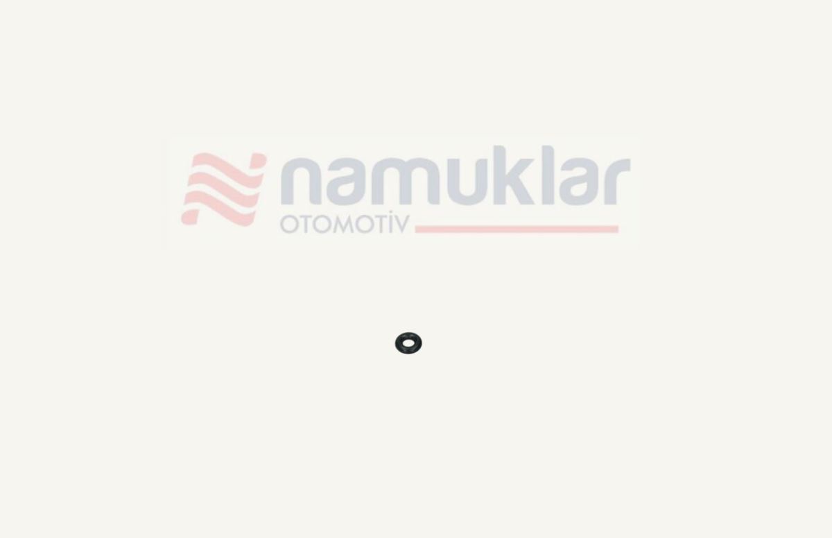 O-RİNG 529909R1 1
