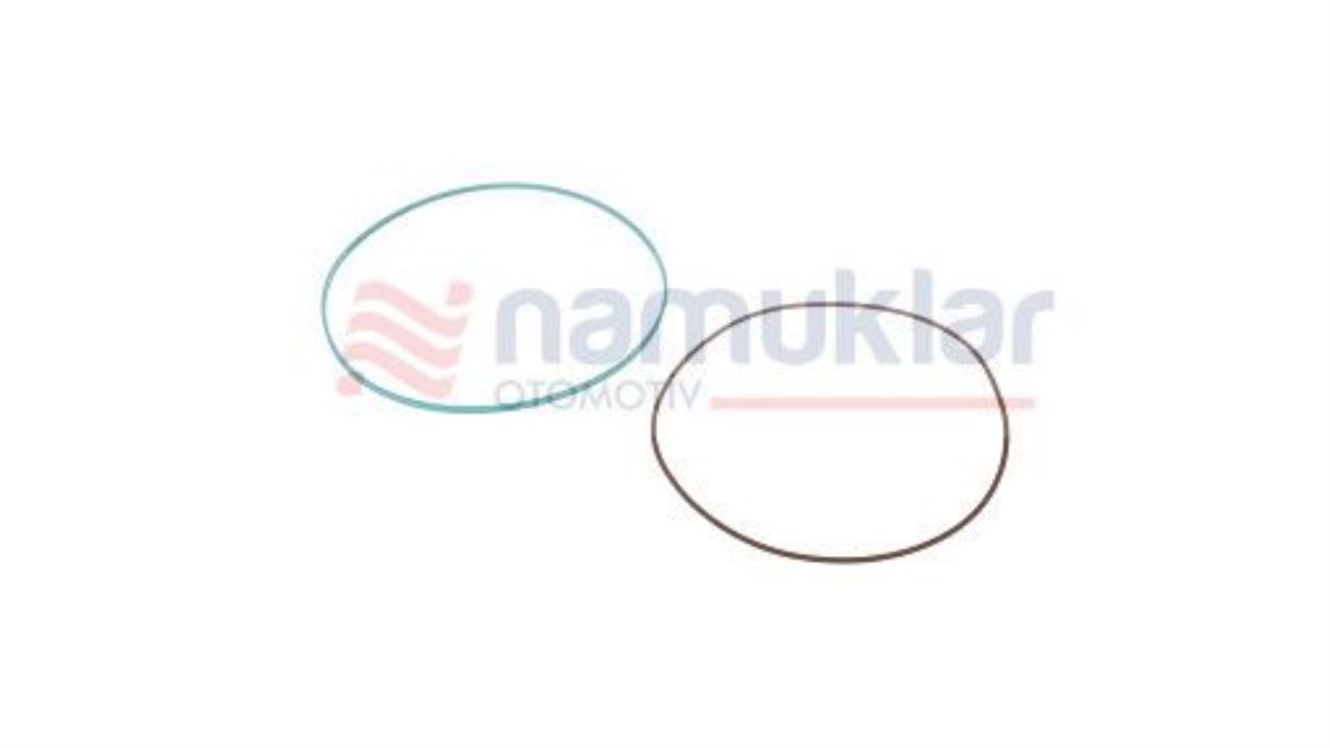 O-RİNG 5172302 1