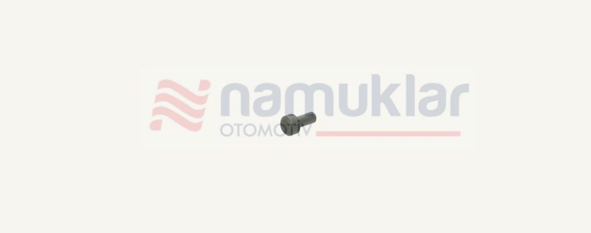 GERİ VİTES DİŞLİ PİMİ 596032 1