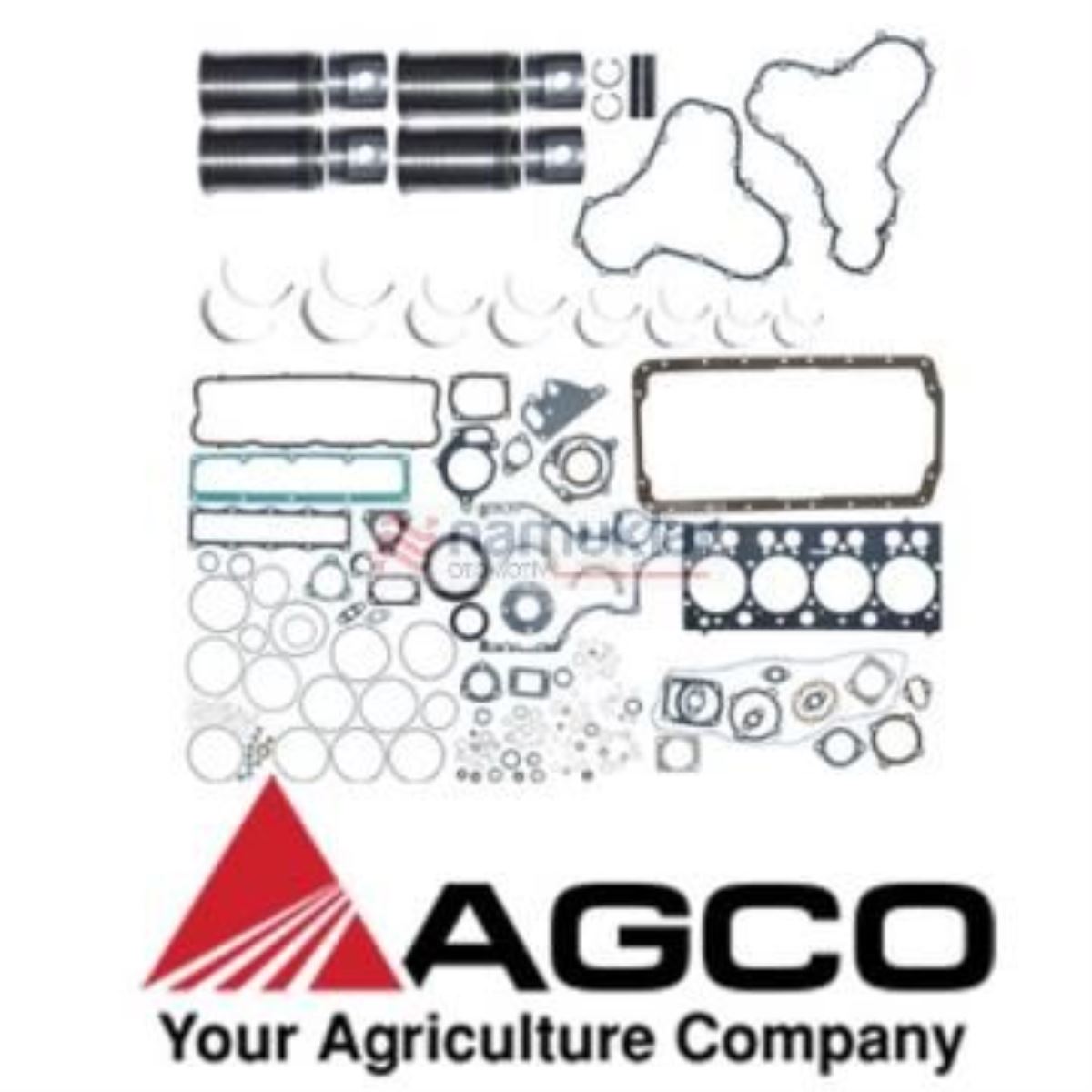 VALTRA REVİZYON YEDEK PARÇA KİTİ-60 mm YANMA HÜCRELİ V836762220 1