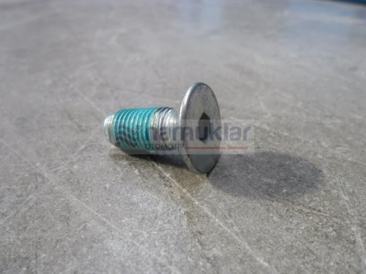 CİVATA PREV TORQUE, M10X1.25X25 47634896 1