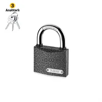 Padlock / Grey Painted 25MM 1