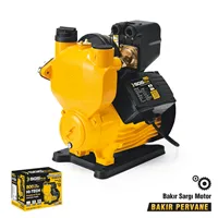 PERİFERİK SU POMPASI 800 WATT 1.2 HP 1