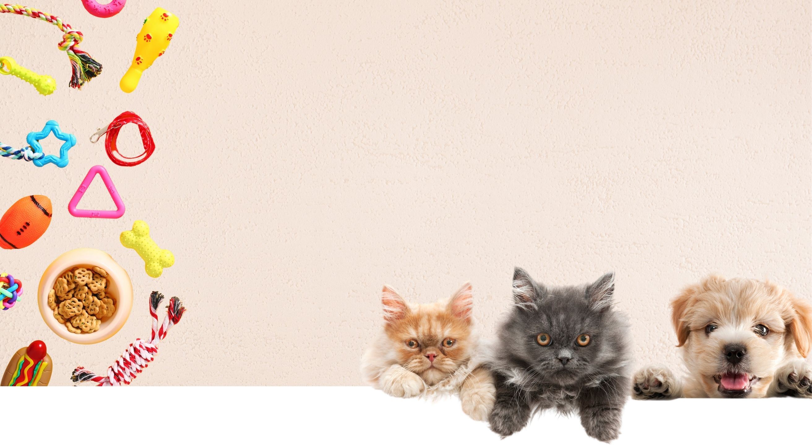 <b>Petshop</b> Industry	