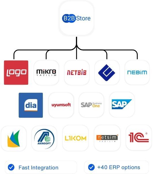 We provide  <b>more than +20 ERP integration</b> option 1