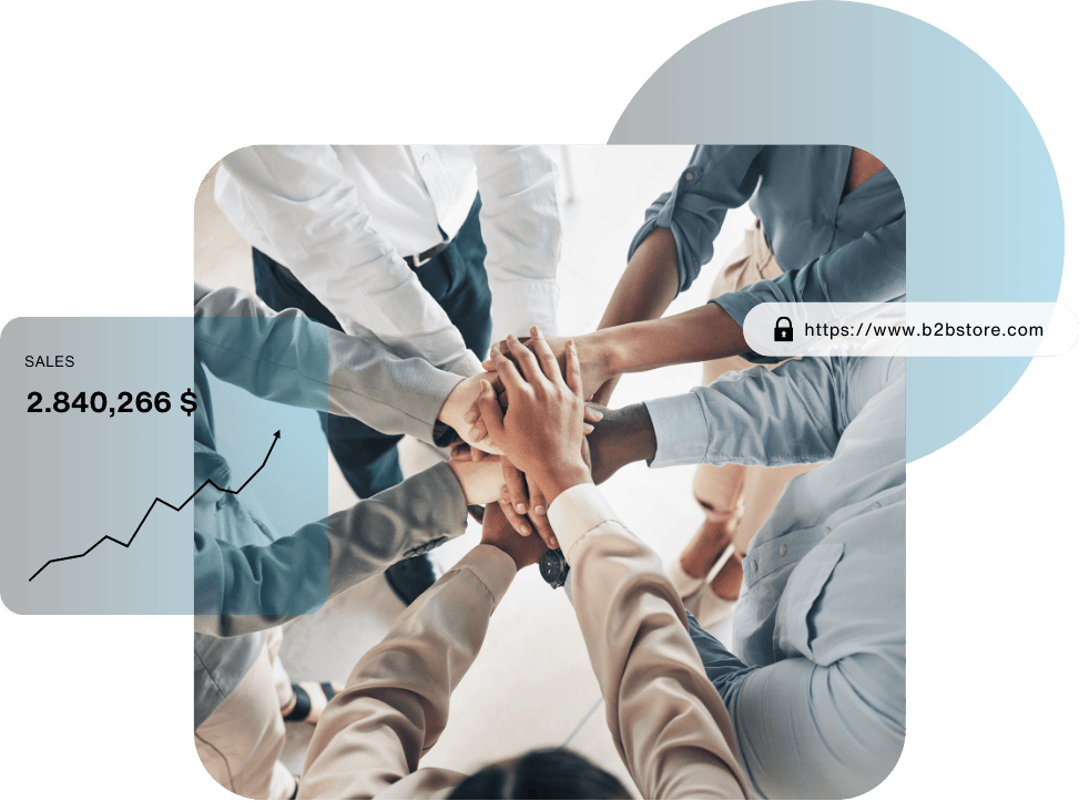 Do you want to get information about B2B e-commerce?	