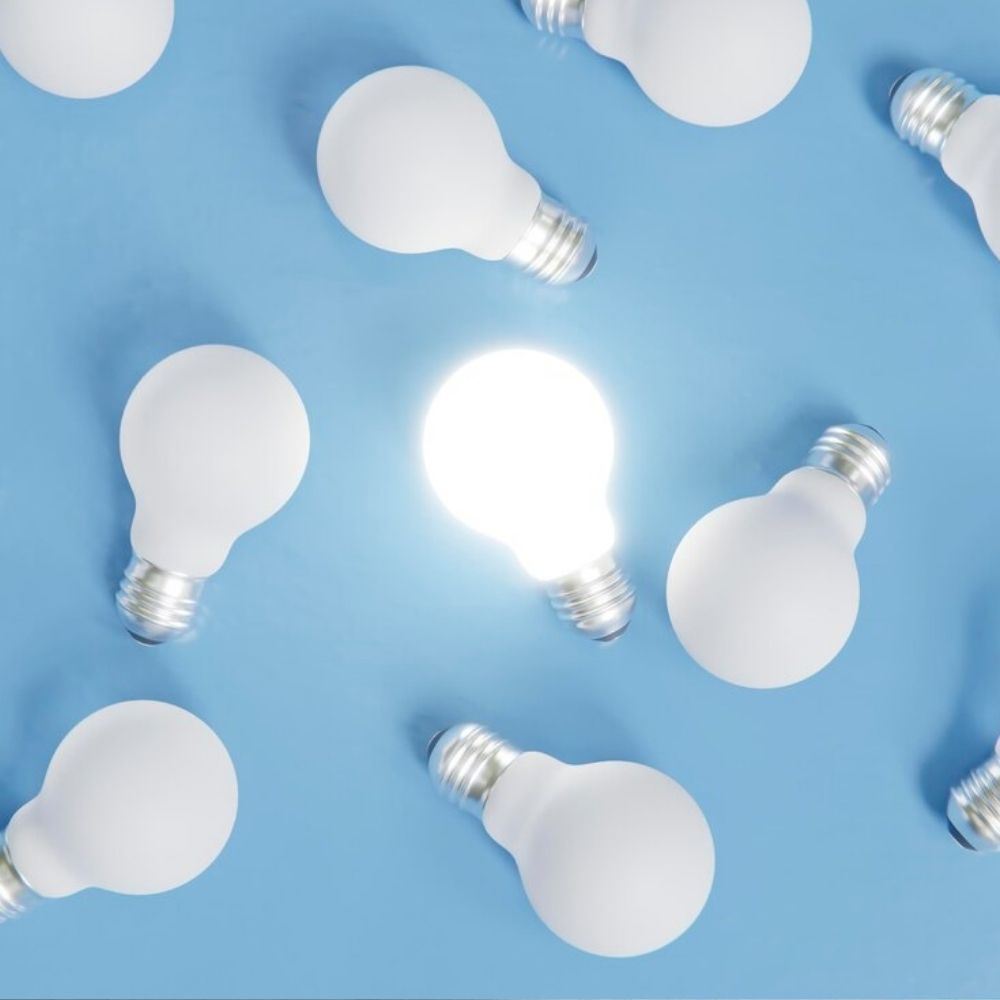 Electric & Electronics Industry	