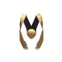 TELEFON TUTUCU AYARLI GOLD PETEK 1