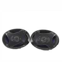 HOPARLÖR KAPAKLI OVAL 960W 16x22cm 6x9 inc  2 Li TAKIM 2