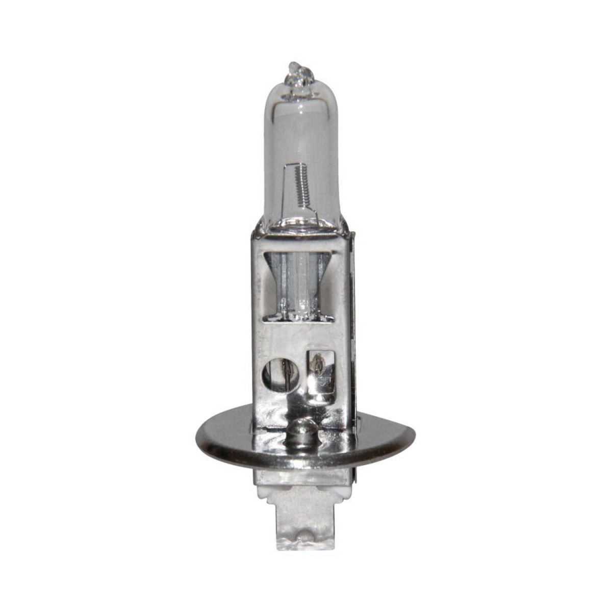 AMPUL H1 12V 55W HALOGEN 1