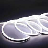 12V NEON LED HORTUM (BEYAZ) 3