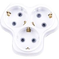 3'LÜ TOPRAKLI PAPATYA GOLYAT 1