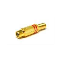 TG-J226 RCA GOLD Erkek Jack 1