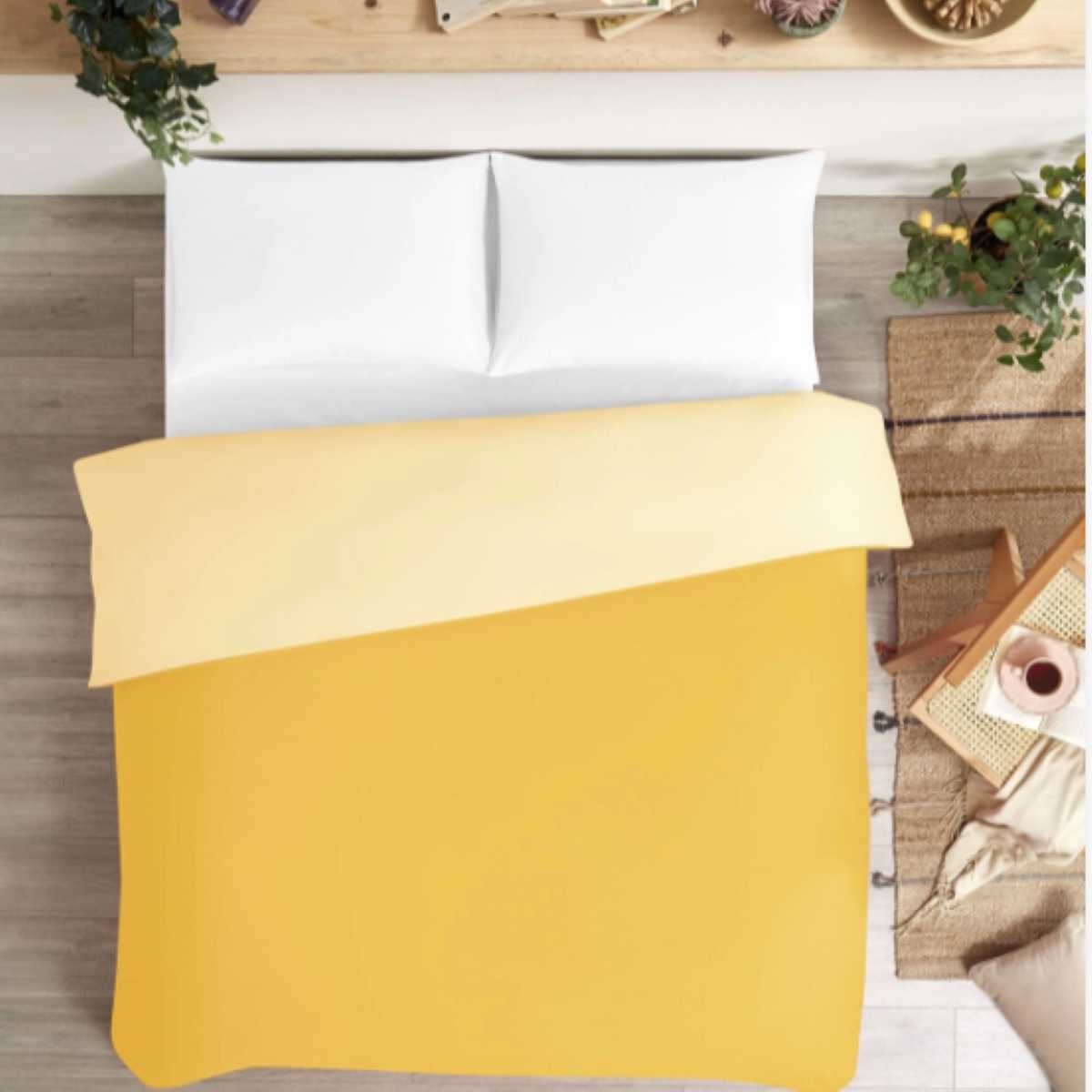 NEV.TK RF TK B.SARISI-GOLD COLOURIST 1