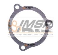 EGZOZ EMİŞ CONTASI 366548 1