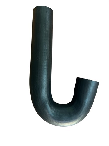 ŞEKER HORTUM 1