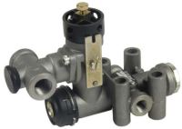 DORSE VENTİLİ YAVRULU 1325336 1