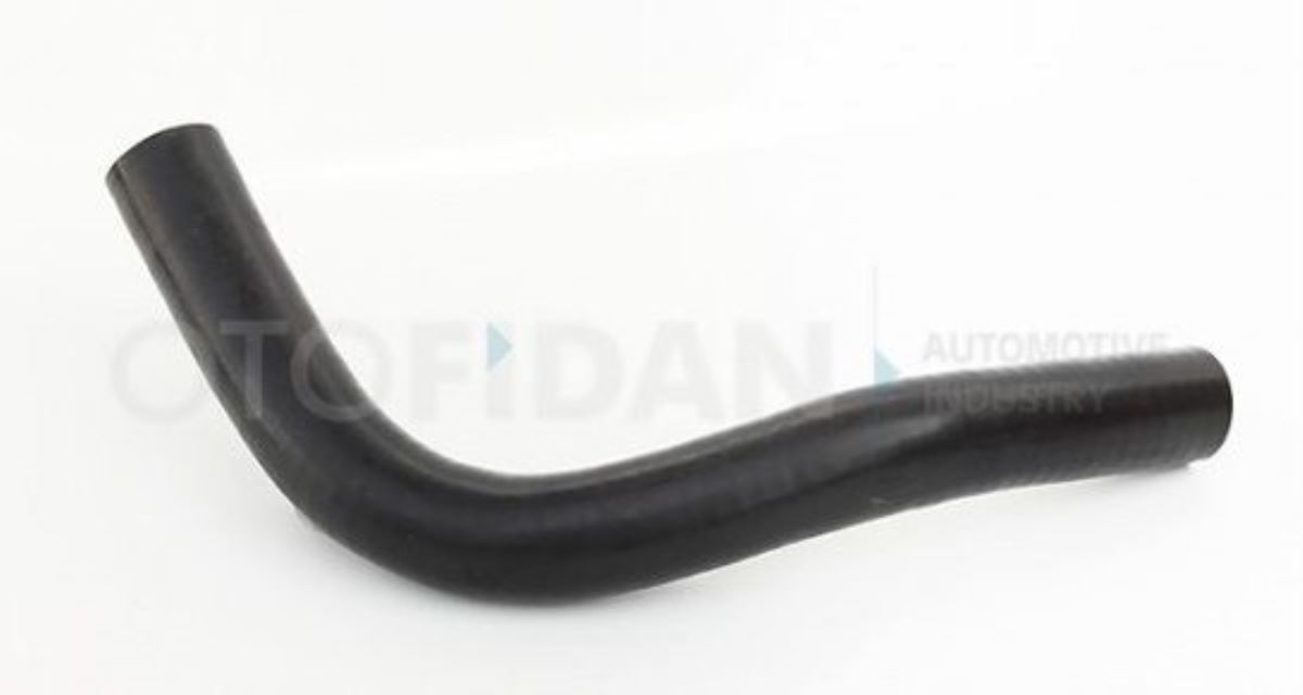 MARATON SU HORTUMU  MC329199 1