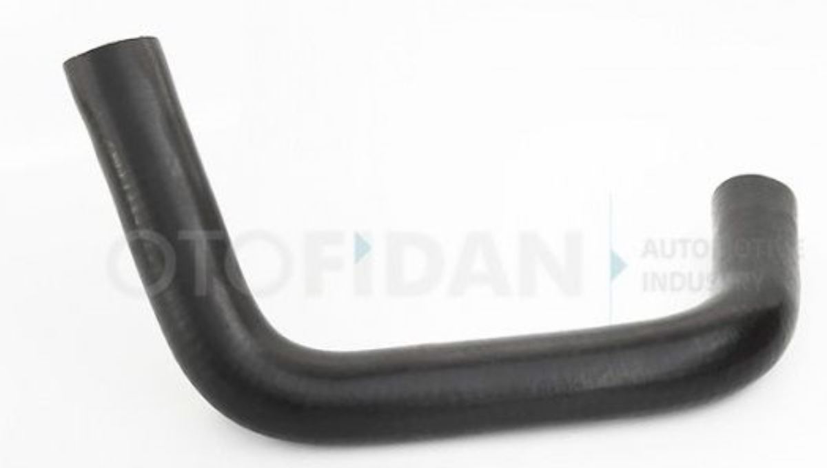 MARATON SU HORTUMU  MC329119 1