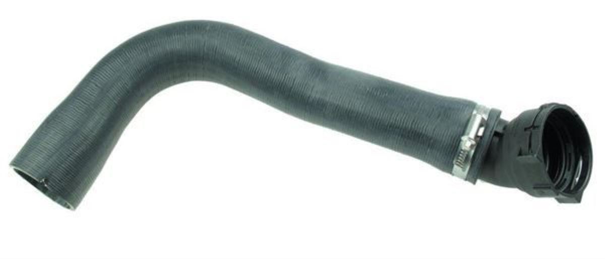 STRALIS SU HORTUMU  41218106 1