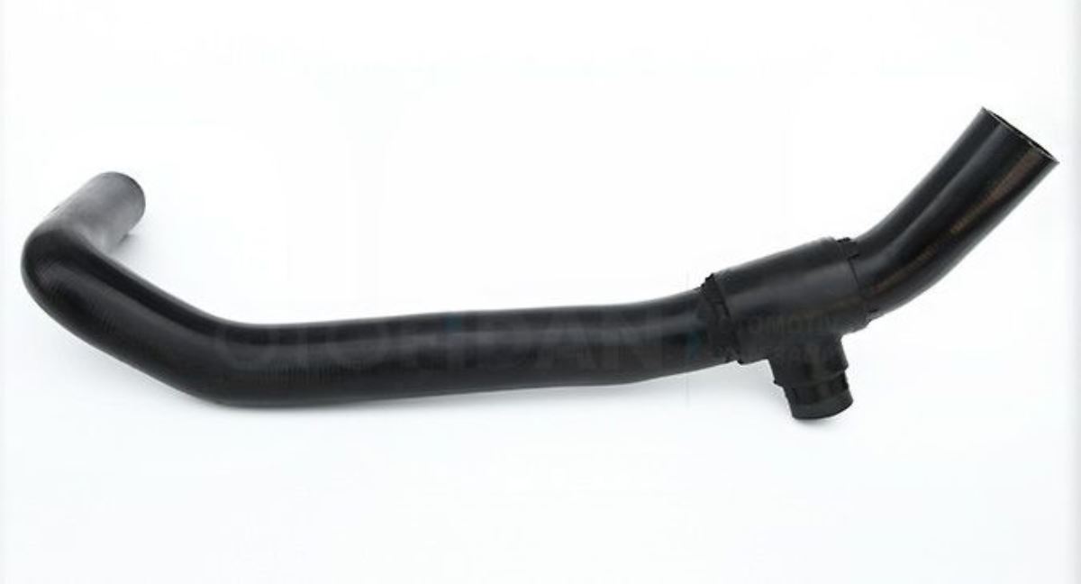 MB800 RADYATÖR ALT HORTUM 6845011182 1