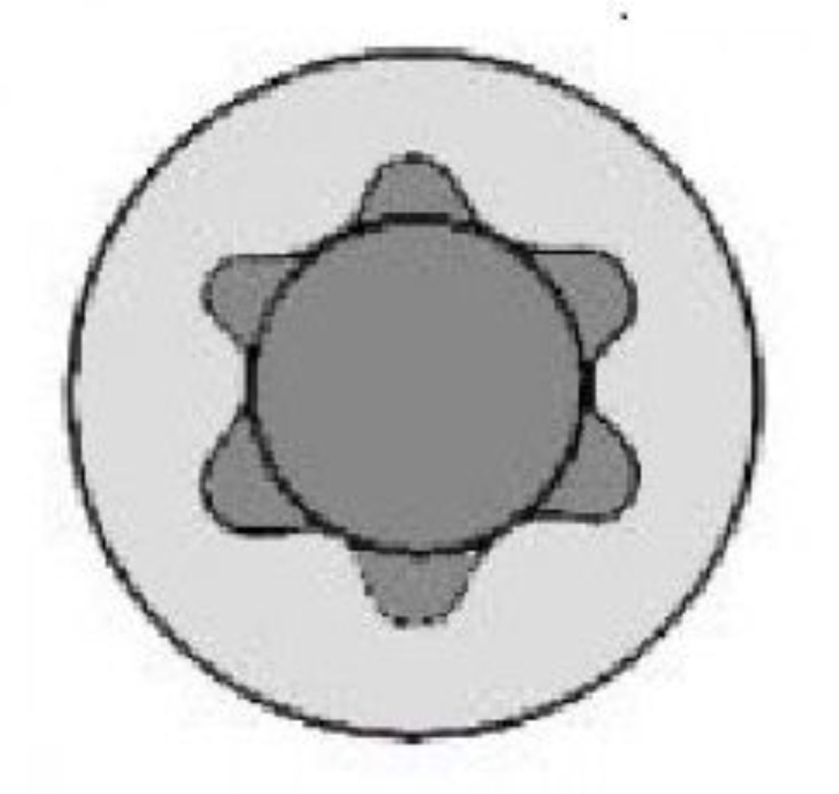 SILINDIR KAPAK SAPLAMASI  /  7700855384 1