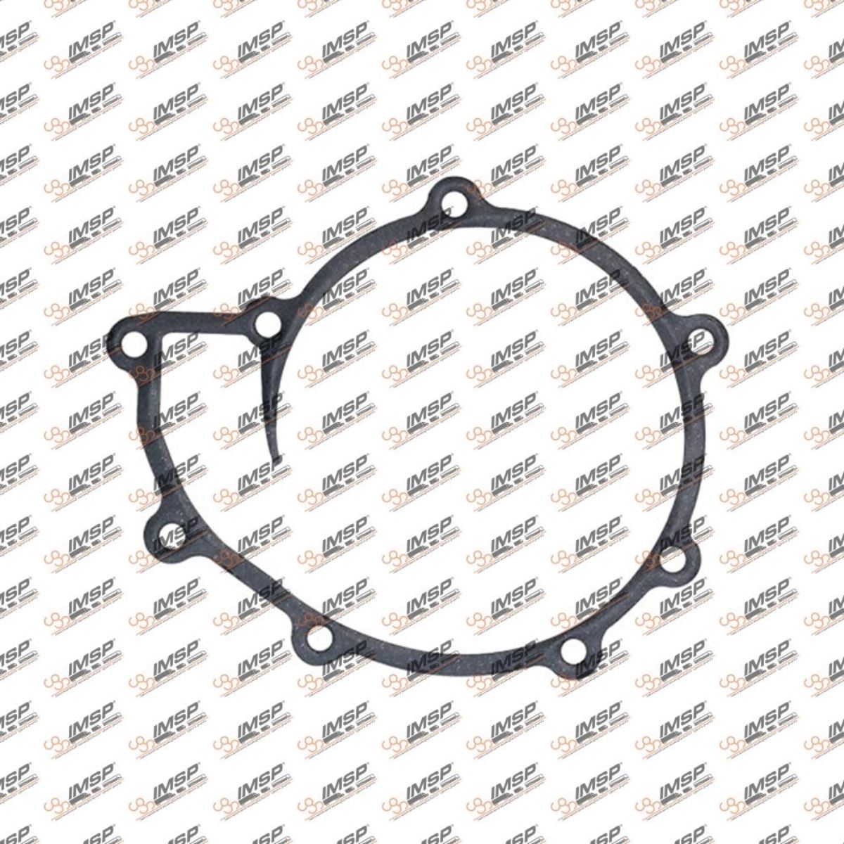 DEVİRDAİM CONTASI (SACLI KLİNGRİT) 51069010196 008.971 1