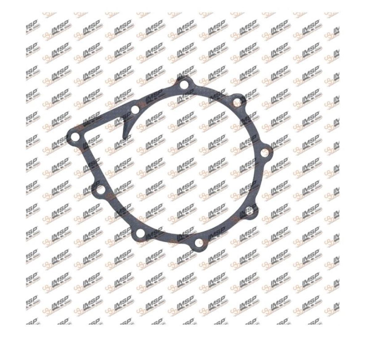 DEVİRDAİM CONTA  (TELLİ KLİNGRİT) 51069010192 1