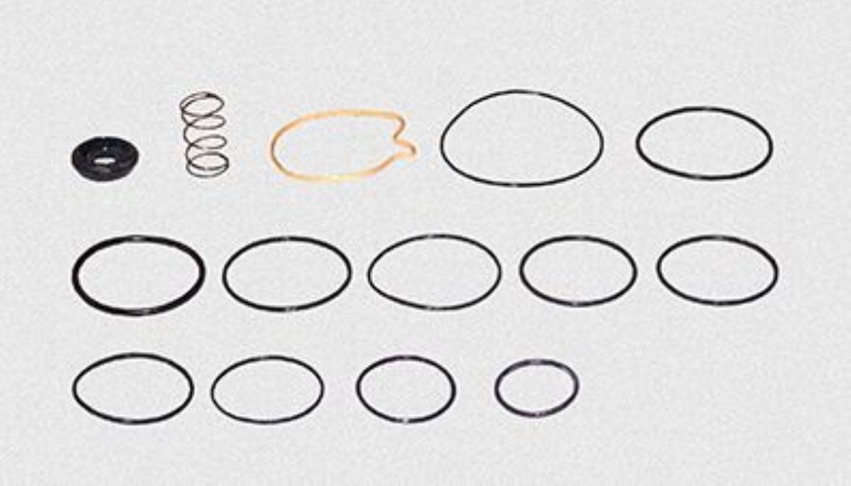 EBS DORSE KONTROL VENTİLİ TAMİR TAKIMI 1