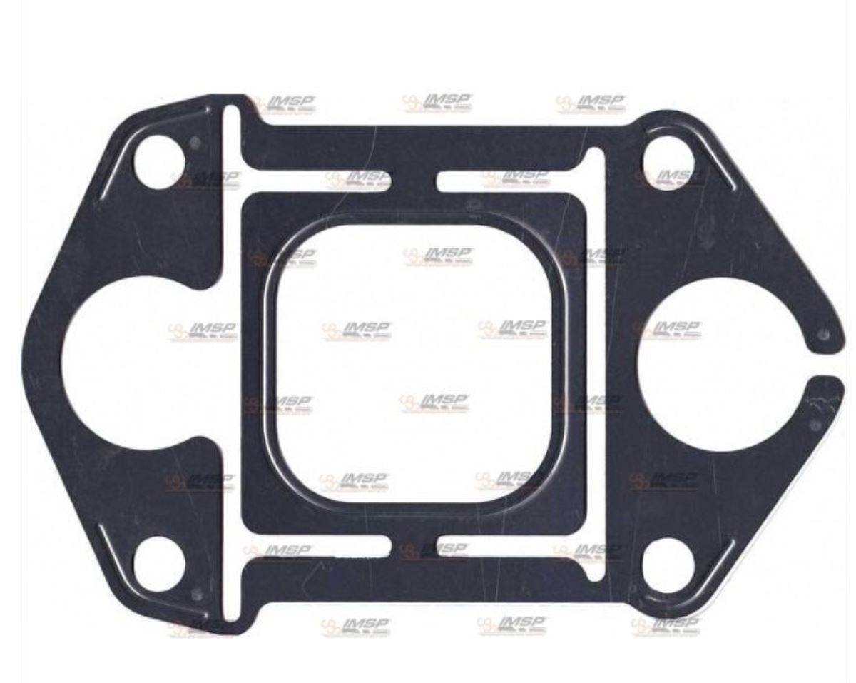 EGZOZ MANİFOLT CONTA 1