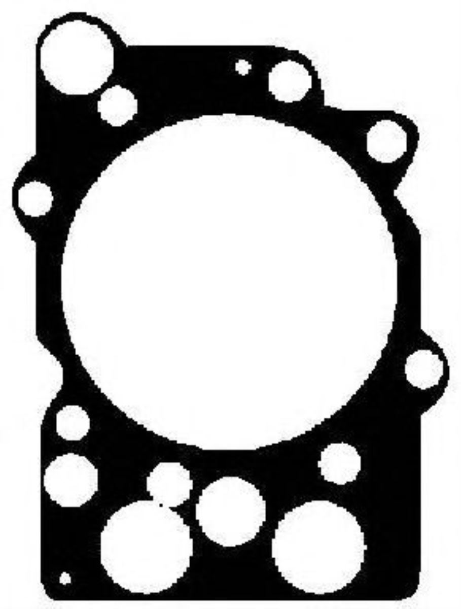 SİLİNDİR KAPAK CONTA  2755486 1