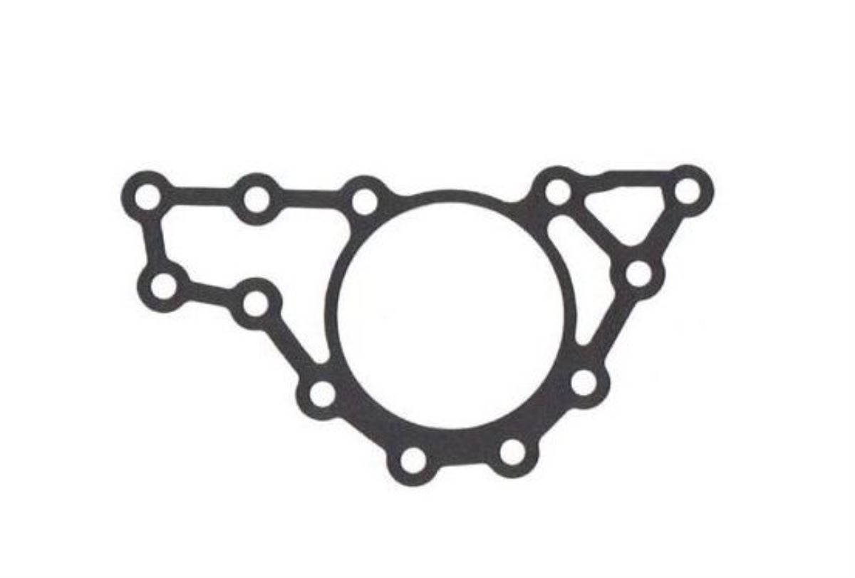 922 ŞANZIMAN CONTA 1