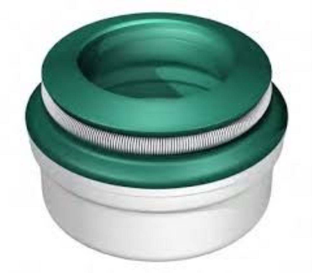 RENAULT/IVECO SUBAP KEÇESİ 5010330133 251.510 1