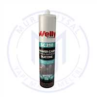 WELLY DUŞAKABİN SİLİKONU 280 ML 1