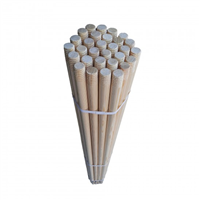 FIRÇA SAPI ÇAM 120 CM 1