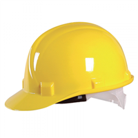 BARET VİDALI SARI 1