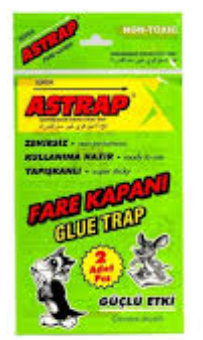 ASYEM ASTRAP YAPIŞKANLI KAĞIT FARE KAPANI (2 Lİ) 1