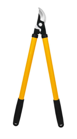 DAL BUDAMA MAKASI 21” 1