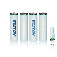 Beston 2AC-60  2200mWh/1.5v AA USB-C 1
