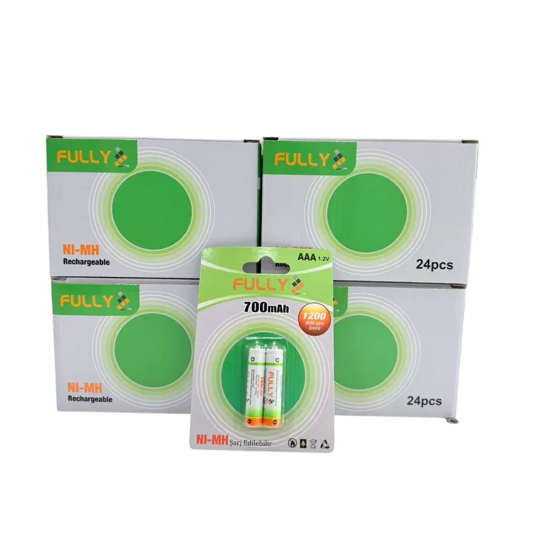 Fully 1.2V Aaa Şarjli 700Ma 2'Li Blister Paket İnce Pil 1