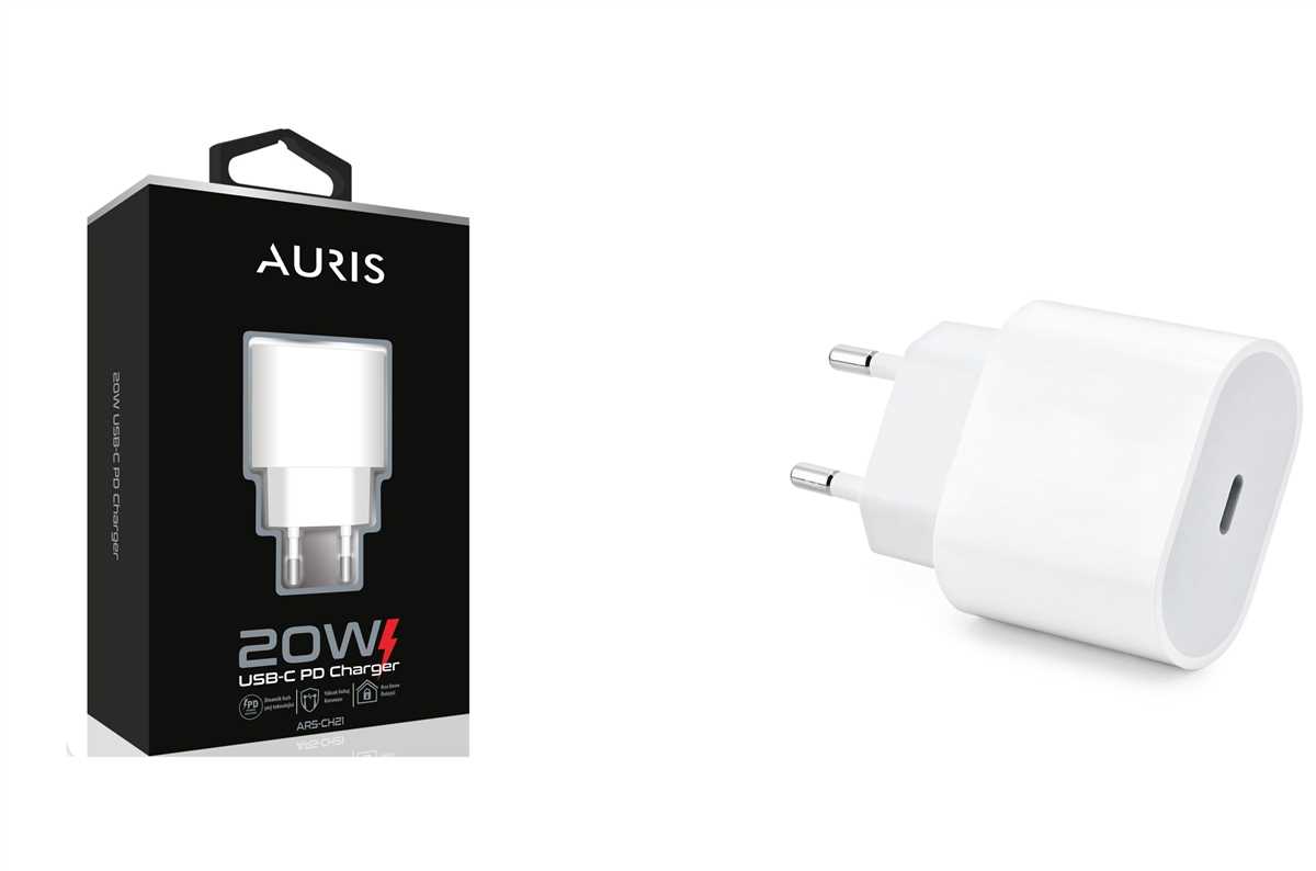 Aurıs CH21 Usb-C Kafa 20W 1