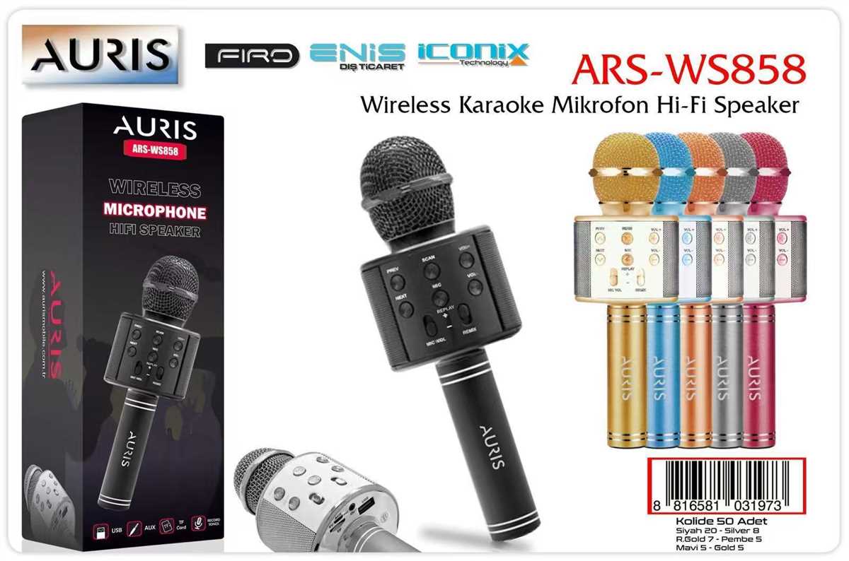 AURIS ARS-WS858  Karaoke Mikrofon 1