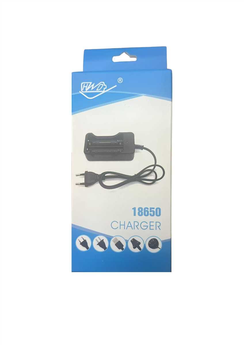18650 2'Lİ Şarj Cihazı 500Ma 1