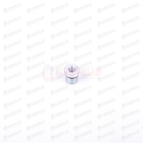 10119511 ŞANZIMAN YAĞ TAPASI M33*2 1