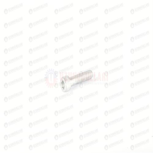 14307834 HİD.BEYİN BORU CİVATASI  M10*1,25*45 1