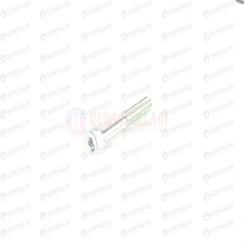 14308221 HİD.BEYİN BORU CİVATASI  M10*1,25*65 1