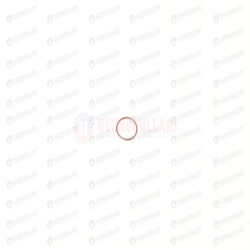 14453981 HİD. SUPAP LASTİĞİ 1