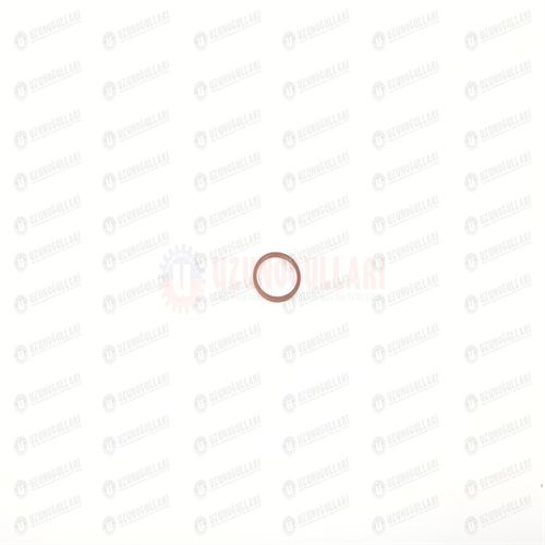 17282581 HİD.DİST.KONTROL SUPAP LASTİĞİ 1