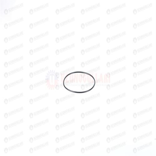 259930 O-RİNG 1